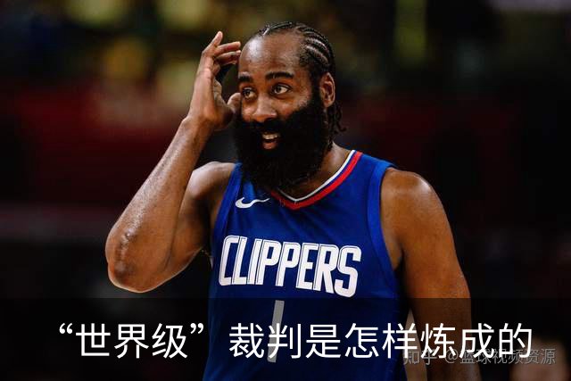 “世界级”裁判是怎样炼成的